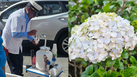 Vendedor de ponche de Quito y detalles de las flores de la ciudad