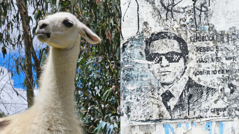 Alpaca del parque Metropolitano Guangüiltagua y stencil de La Floresta, tomadas en 2024