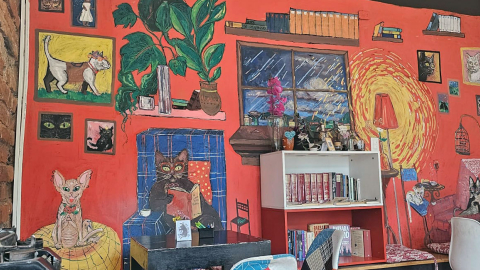 Decoración de la librería Tres Gatos.