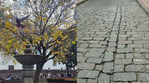 Detalles de las calles y plazas del centro histórico de Quito.