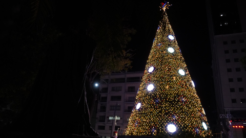 Árbol de Navidad en el Hemiciclo de la Rotonda, en Guayaquil, que usará energía de paneles solares y permanecerá encendido pocas horas. Foto del 3 de diciembre de 2024.