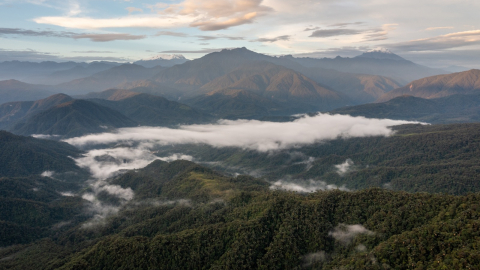 Una nueva carretera "pone en riesgo la biodiversidad del Parque Nacional Llanganates"