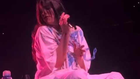 Momento en el que la cantante Billie Eilish recibió el golpe de un objeto en su cara.