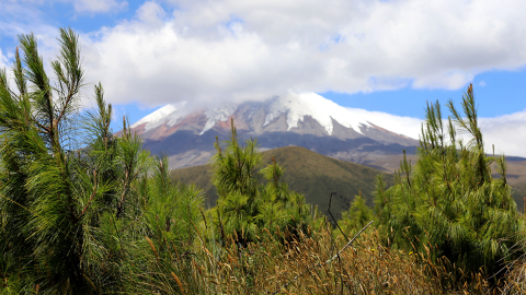 Cuidado de las fuentes de agua de Aglomerados Cotopaxi.