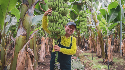 Banco Pichincha impulsa el financiamiento de los agronegocios en el país.