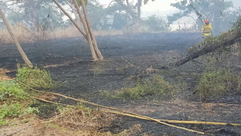 El incendio forestal registrado en la venida Narcisa de Jesús, en Guayaquil, este 18 de diciembre de 2024, dejó 13hectáreas afectadas.