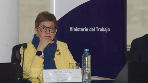 ministra Ivonne Núñez