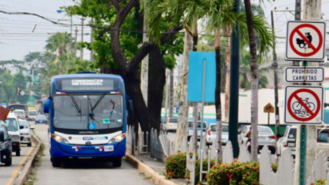 Bus de la Metrovía