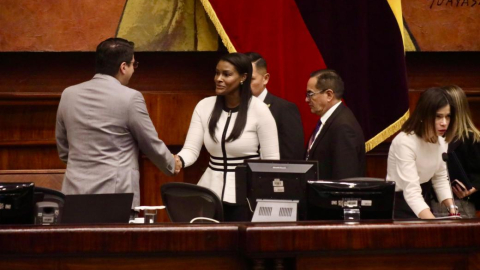 Diana Salazar, fiscal general, comparece en la Asamble Nacional.