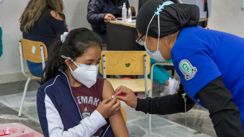 Los Ministerios de Educación y Salud ejecutan medidas para evitar contagios de tosferina y fiebre amarilla en planteles educativos.