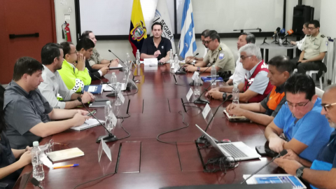 Concejo seguridad Guayaquil