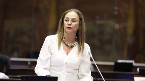 La asambleísta Pierina Correa mocionó al pleno la aprobación del Código Orgánico de Protección Integral a Niños y Adolescentes (Copina), el 12 de mayo de 2025.