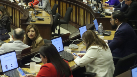 Sesión del Pleno de la Asamblea del 30 de mayo de 2025.