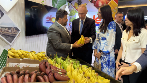 Exhibición de banano en un evento del gremio en Machala, en junio de 2025.