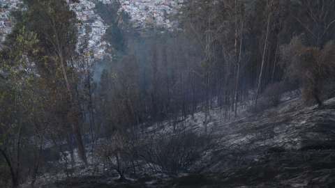 Vegetación quemada por un incendio forestal en La Vicentina, Quito, el 14 de septiembre de 2026.