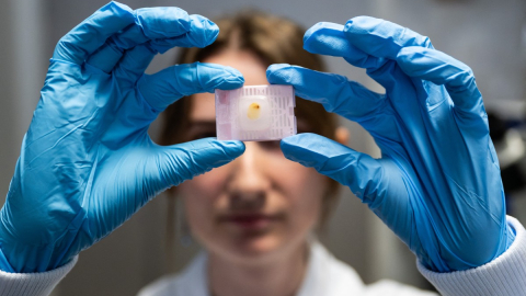 Imagen referencial de un laboratorio científico en Francia, en octubre de 2026.