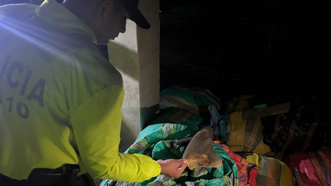 Un policía junto a parte del cargamento de aletas de tiburón incautado en Nariño, Colombia, el 23 de octubre de 2026.