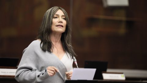 La asambleísta de Revolución Ciudadana, Patricia Núñez, en el Pleno del 12 de agosto de 2026.
