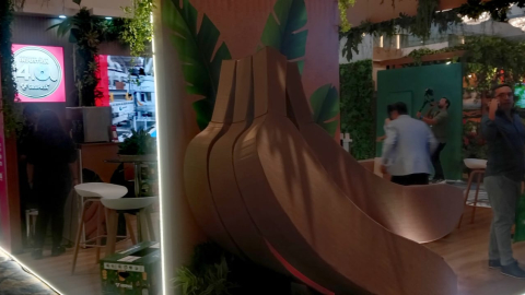 Exposición de insumos de cartón en Banana Time.