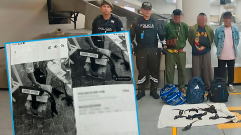 Fotografía extraída del celular de uno de los ciudadanos tailandeses sentenciados en Ecuador, que mostraría un posible comercio ilegal de iguanas marinas de Galápagos.