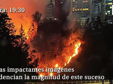 El norte de Quito enfrenta un incendio forestal de grandes proporciones este martes, 24 de septiembre de 2024. Según el alcalde de la ciudad, Pabel Muñoz, las llamas se originaron, pasado el mediodía, en una quebrada, a la altura de la intersección de las avenidas Simón Bolívar y Los Conquistadores, en la bajada a Cumbayá.