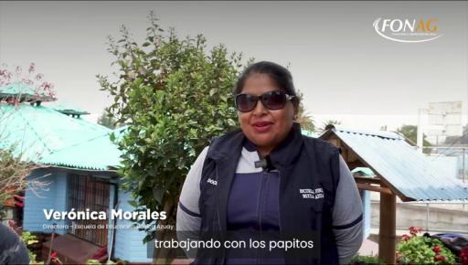 Mini documental del proyecto Ayllu en Quito, donde participan toda la comunidad educativa: maestros, estudiantes y padres de familia.