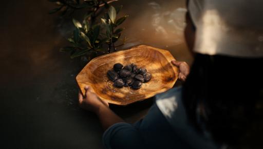 Concha negra, ingrediente que forma parte de la diversa gastronomía ecuatoriana.