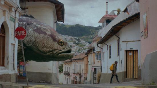 Frame de la nueva película ecuatoriana Alucina.
