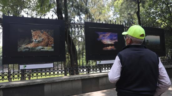 Un transeúnte observa las imágenes la exposición fotográfica "Ecuador: cuatro regiones, dos hemisferios, un sólo País", en las rejas de Chapultepec en Ciudad de México.