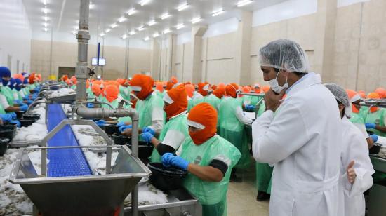 En octubre de 2017, la empacadora Omarsa recibió la visita del Ministro de Comercio Exterior, Pablo Campana. La empresa tiene el estándar de calidad Sustainable Shrimp Partnership. 