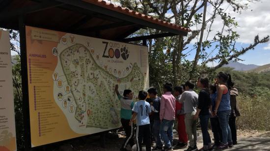 En el zoológico de Guayllabamba, el público puede encontrar especies silvestres víctimas de tráfico.