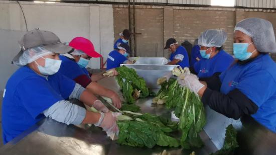 El Banco de Alimentos recibe 30 toneladas de productos cada semana