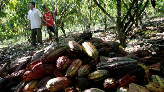 Dos agricultores junto a una pila de cacao en el departamento peruano de Ayacucho.