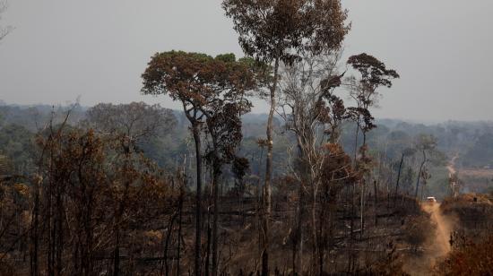 Imagen que muestra una zona consumida por el fuego en Puerto Viejo, estado de Rondonia (Brasil).  