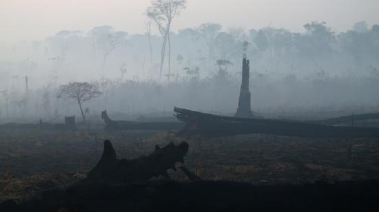 Imagen captada la madrugada del 29 de agosto de los rastros que dejó uno de los incendios forestales en Puerto Viejo. 