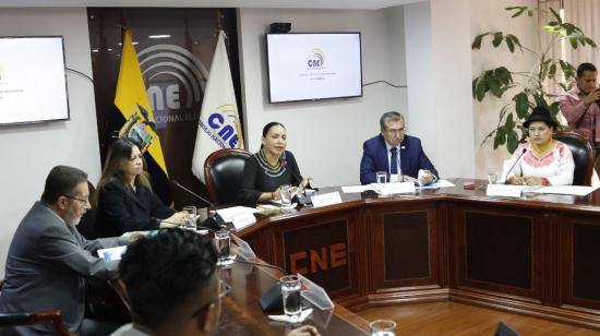 El Pleno del CNE aprobó la entrega de formularios para recolección de firmas al Comité por la Institucionalización, el 29 de agosto del 2019.