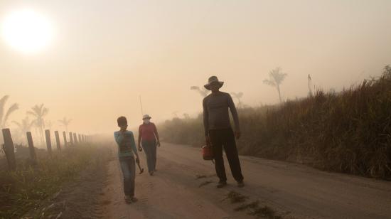 Brasil prohíbe por 60 días el uso de fuego para preparar la siembra en Amazonía, como una medida de prevención de los incendios en la zona. 