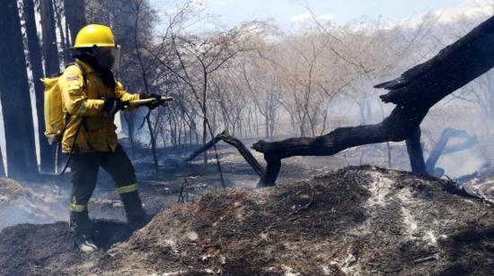 El Cuerpo de Bomberos de Quito informó que el incendio se encuentra controlado.