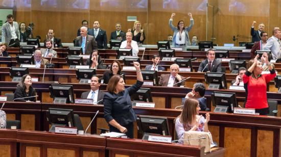 Asambleístas festejan los resultados de la votación sobre la reformas del Código de la Democracia, en la sesión de 3 de diciembre de 2019.