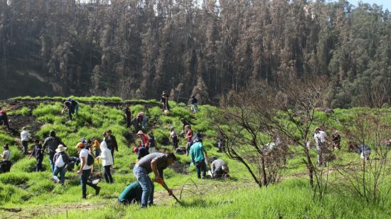 Habitantes de Zámbiza participan en la reforestación del antiguo botadero de basura