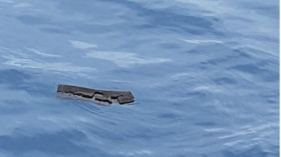 Una imagen  publicada por la Fuerza Aérea de Chile que muestra un pedazo de esponja flotando en el mar y que sería parte del avión desaparecido.