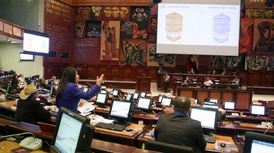 Ximena Peña, ponente de la reforma electoral, en la sesión del pleno del 22 de enero de 2020.