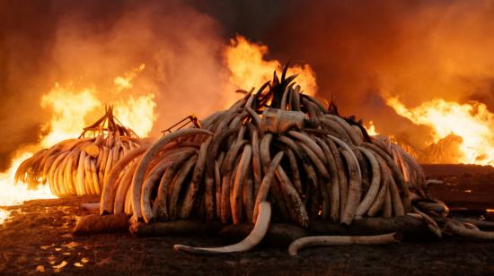 Fotograma de "Anthropocene: The Human Epoch", de Edward Burtynsky, Jennifer Baichwal y Nicholas de Pencier, con la que se abre el Festival Habitante.