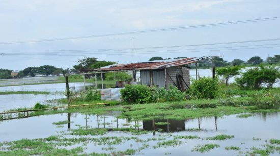 El sector de Las Maravillas, en el cantón Santa Lucía (Guayas), sufrió una inundación por el desbordamiento del río Daule.