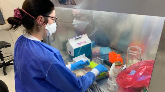 Una investigadora de la Universidad San Francisco en el laboratorio de Microbiología, el 15 de marzo de 2020.