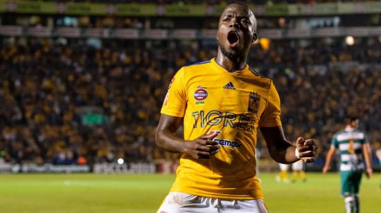 Enner Valencia, mientras festeja un gol en Tigres de México en un partido por la liga local.