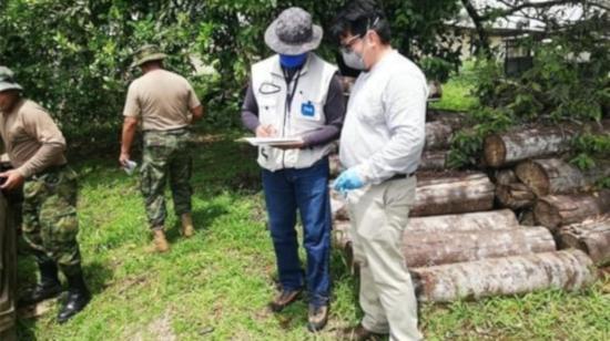 Personal del Ministerio del Ambiente de Sucumbíos decidió, este 11 de abril, que la madera incautada será destinada a los reos para que hagan féretros.