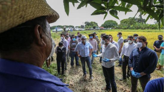 El 28 de abril el vicepresidente Sonnenholzner visitó el sector agrícola de Salitre, en Guayas.