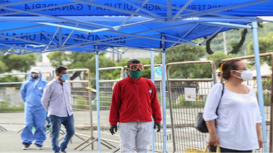 Personas esperan en fila guardando la distancia en una feria agrícola organizada por el Gobierno, en Guayaquil, el 13 de mayo. 