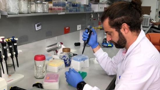 Miguel Ángel García, investigador de la UDLA, en el laboratorio analizando las muestras de tuberculosis. 